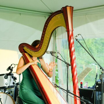 Hire Holly Hart Celtic harpist with Encore