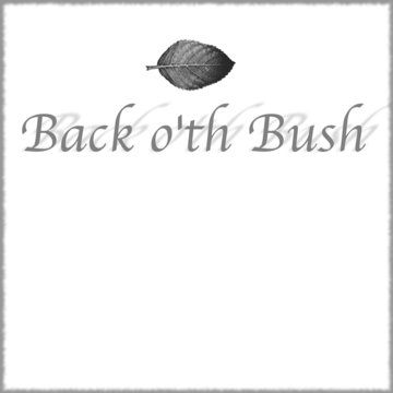 Hire Back of the Bush Folk band with Encore