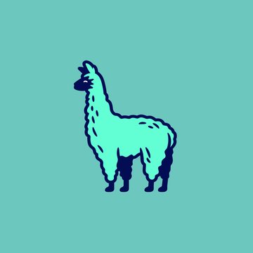 Fat Llama Lllama Llama's profile picture