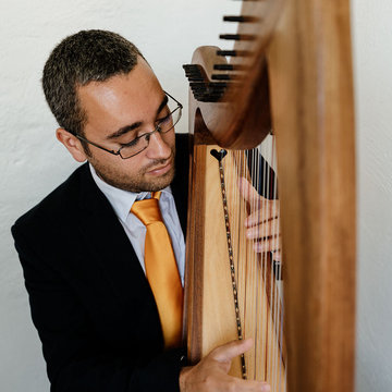 Hire Mark Levin Harpist with Encore