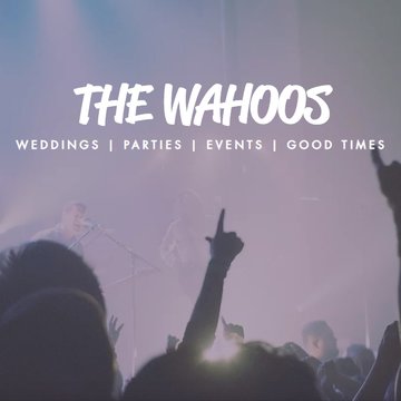 Hire The Wahoos Indie band with Encore