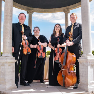 The Martello Quartet's profile picture