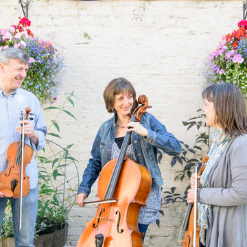 Thackeray String Quartet/Trio's profile picture