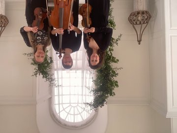 Hire Passion Strings Classical trio with Encore