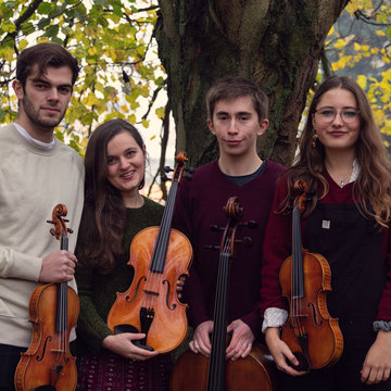 Howell String Quartet's profile picture