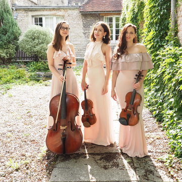 Hire Charming Strings Electric string quartet with Encore