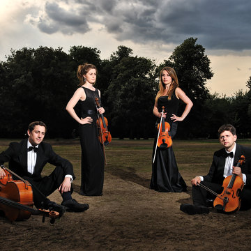 Ealing String Quartet's profile picture