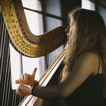 Hire Alice Roberts (Harpist) Harpist with Encore