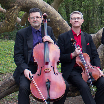 Hire Arianne String Duo String quartet with Encore