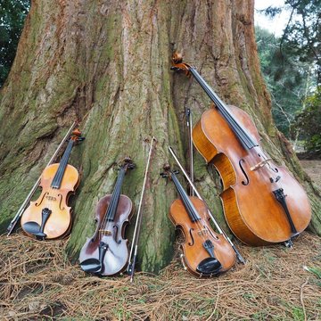 Hire All Things Strings - The Intermezzo Quartet  String trio with Encore