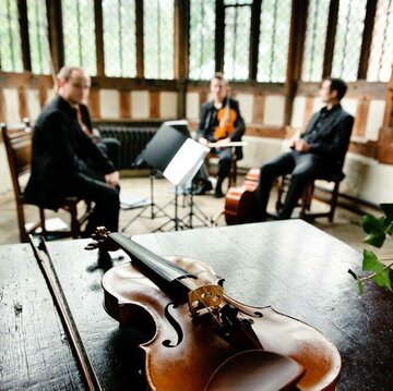 Hire Strelitzia String Quartet Electric string quartet with Encore