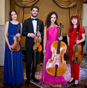 London Strings Quartet's profile picture