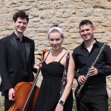 Hire Arietta Trio Classical trio with Encore