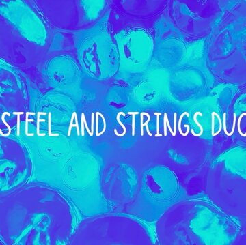 Steelandstrings Duo's profile picture
