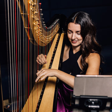 Hire Stephanie Harpist Harpist with Encore