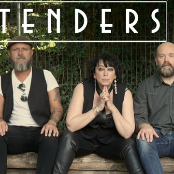 Hire Pure Pretenders Festival band with Encore