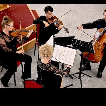 Hire Monzino String Quartet String trio with Encore