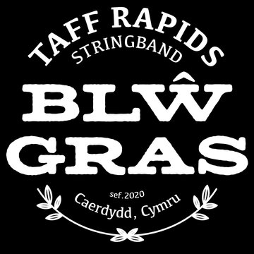 Taff Rapids Stringband's profile picture