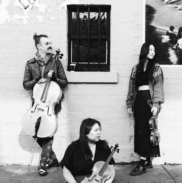 Hire Eclective Strings String quartet with Encore