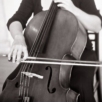 Hire Vivace String Quartet String ensemble with Encore