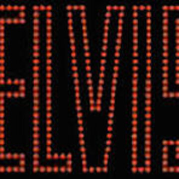 Hire Elvis imagined  Bass guitarist with Encore