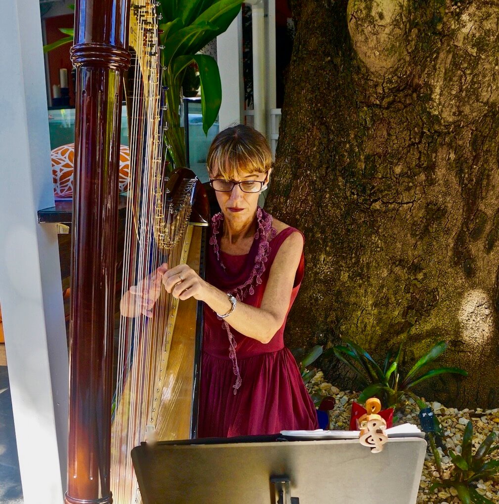 Hire Joy Zahner Harpist with Encore