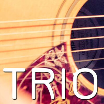 Hire TRIO Acoustic band with Encore