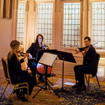 Top String quartets in Seattle - Encore Musicians