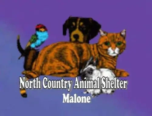 North Country Animal Control Center Inc Aka North Country Animal logo
