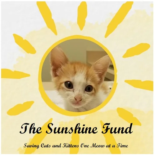 The Sunshine Fund Cat Rescue Inc logo