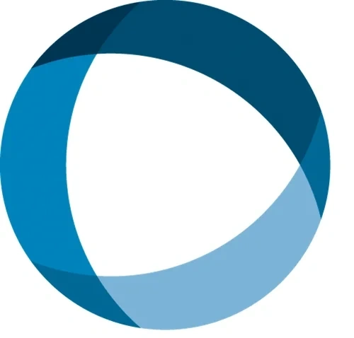 IDinsight logo