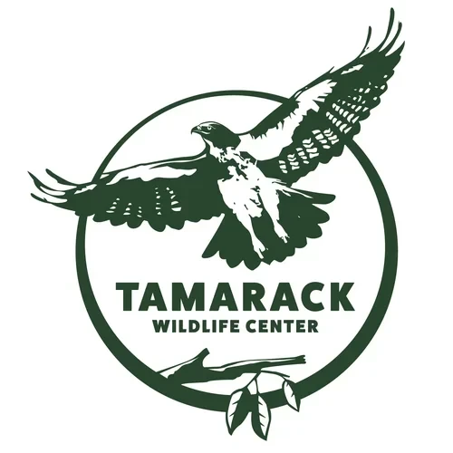 Tamarack Wildlife Center logo