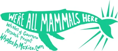 Whales of Guerrero logo