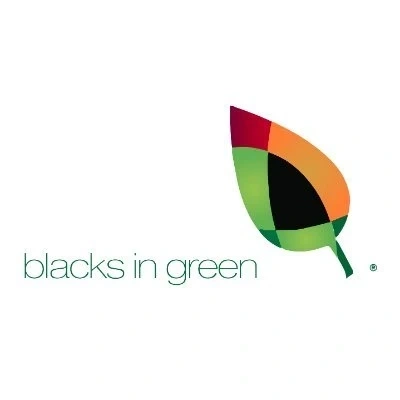 BIG NFP logo