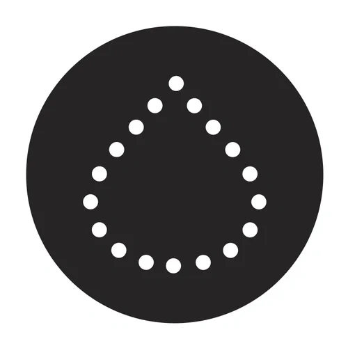 Beyond Type 1 logo