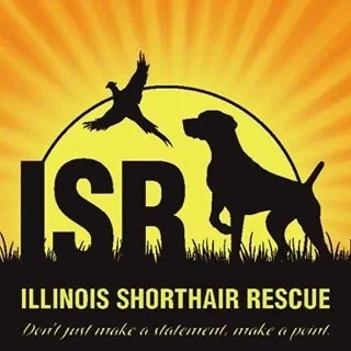 ILLINOIS SHORTHAIR RESCUE logo