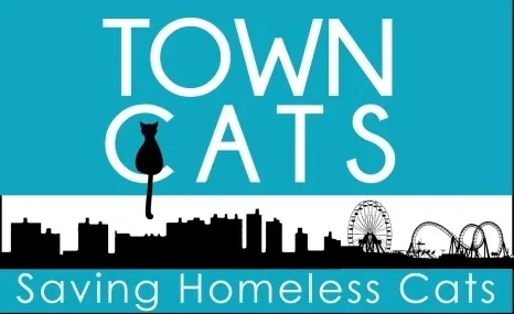 TOWN CATS INC logo