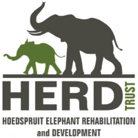 Fishan Brave Elephant who Survived a Fractured leg logo