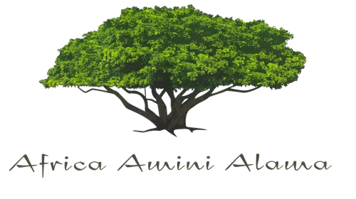 Friends of Africa Amini ALAMA Foundation logo