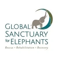 Global Sanctuary for Elephants logo