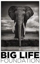 Big Life Foundation USA logo