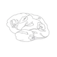 Glioblastoma Research Organization - Brain Cancer logo