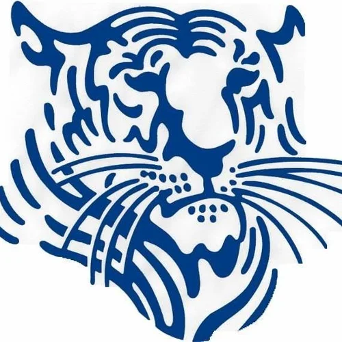 Town School for Boys logo