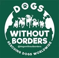 Dogs Without Borders logo