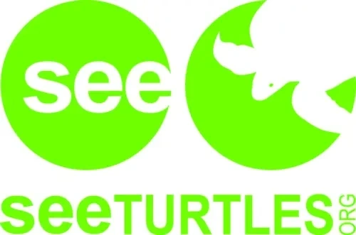 See Turtles logo