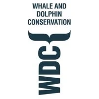 Whale and Dolphin Conservation (WDC North America) logo