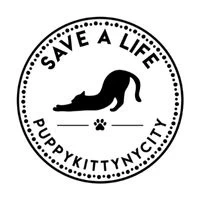 Puppy Kitty NY City. Inc logo