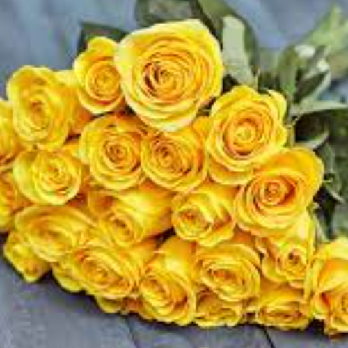 yellowrose