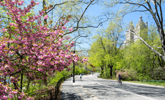 Spring in New York