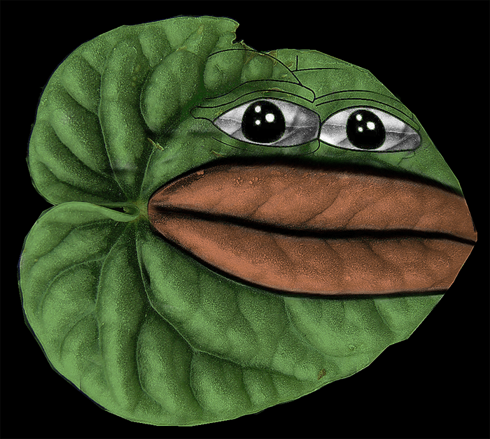 Leaf Art - Pepe